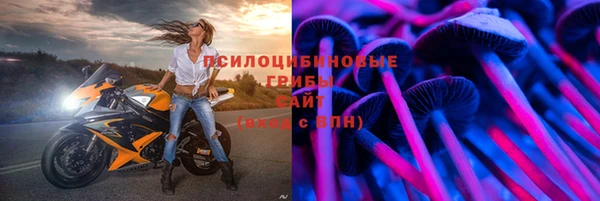 PSILOCYBIN Щигры