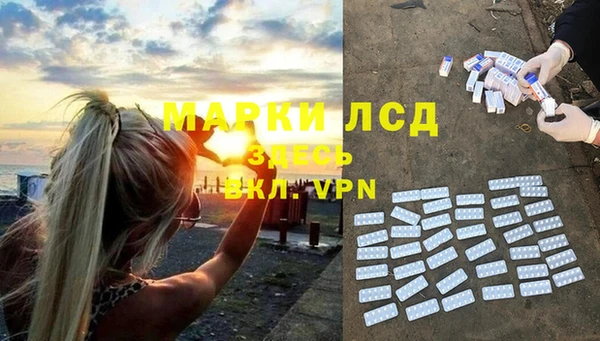 PSILOCYBIN Щигры