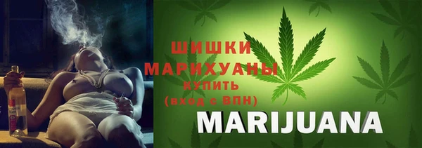 PSILOCYBIN Щигры