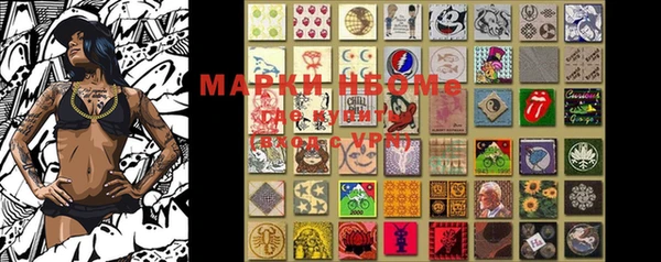 PSILOCYBIN Щигры