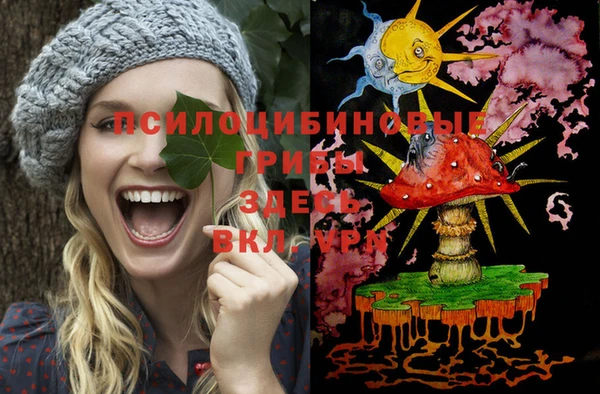 PSILOCYBIN Щигры