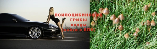 МДПВ Щучье