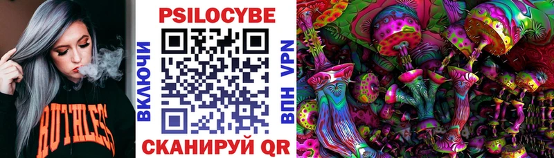 Купить закладки  Алатырь  Псилоцибиновые грибы Magic Shrooms